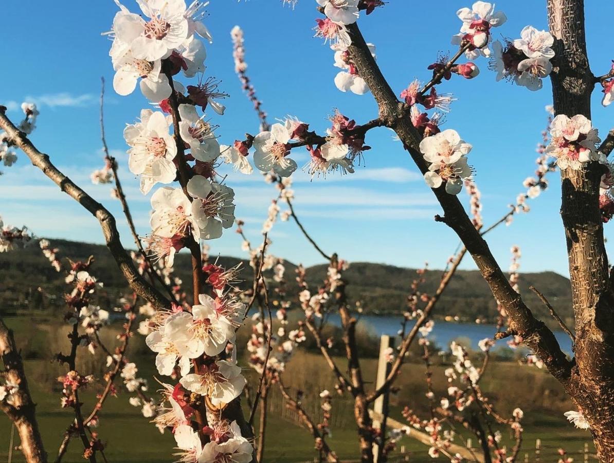 Roppolo Cascina Coste 빌라 외부 사진